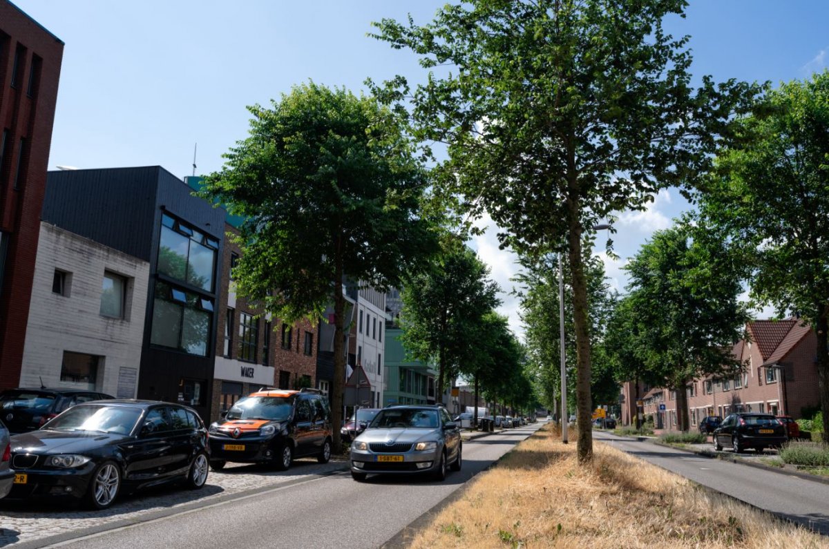 Deventer 2.JPG